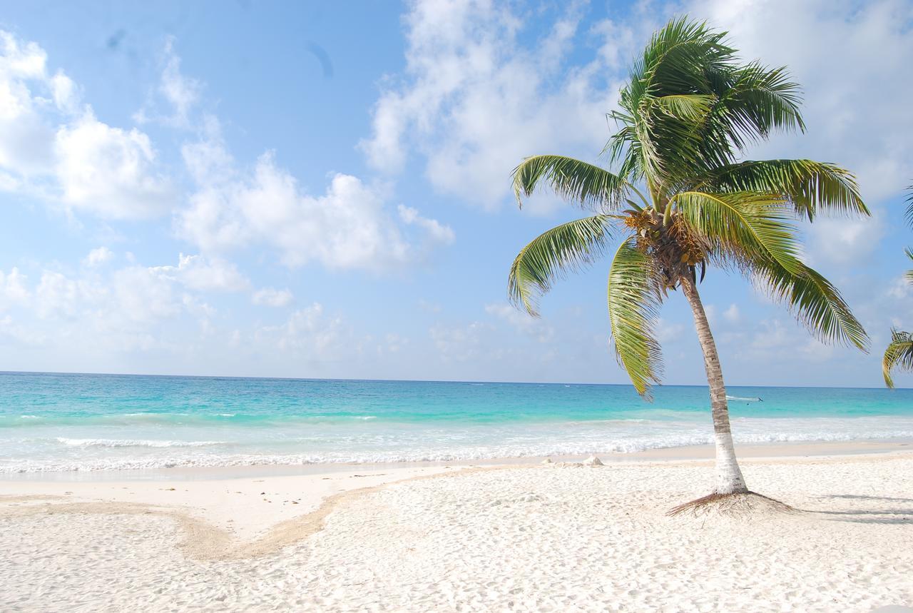 El Paraiso Hotel Tulum Bagian luar foto